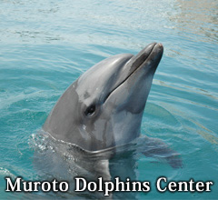 Muroto Dolphins Center