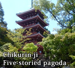 Chikurin-ji Five-storied pagoda